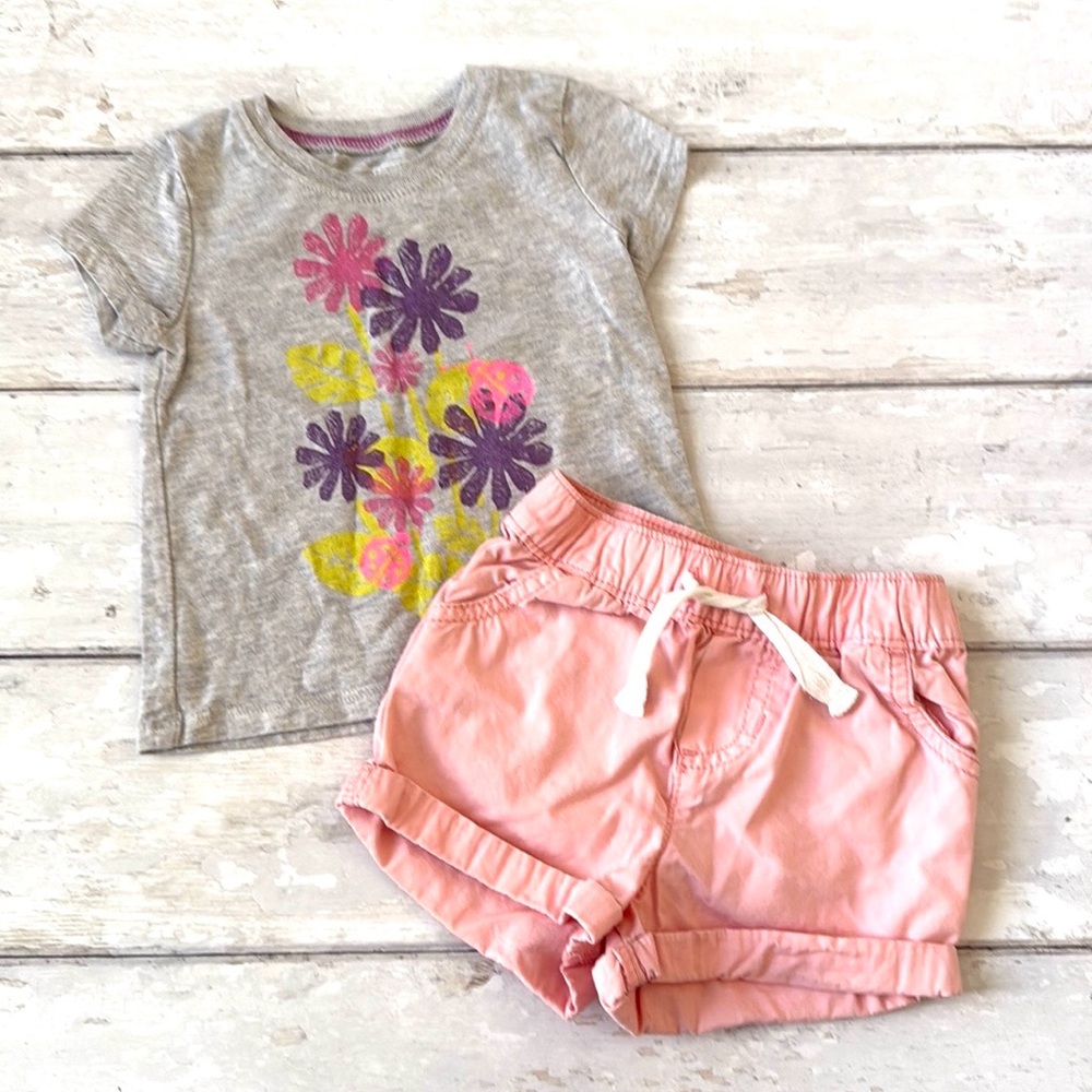 Oshkosh 9m Baby Girl Summer Outfit Pink Carters Shorts Gray Flower Shirt Set